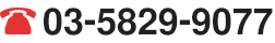 お電話でのお問い合わせ　TEL：03-5829-9077